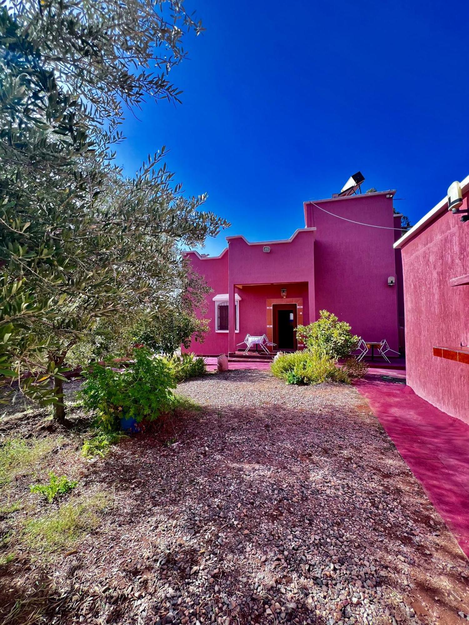 Maison Face Au Lion Tafraout Exterior foto